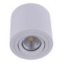 Prezent ALMAN I. 48606 Повърхностно светило 1x50W/GU10 IP20