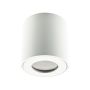 Prezent ALMAN IP I. 48620 Повърхностно светило 1x35W/GU10 IP20