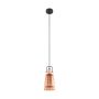 Eglo FRAMPTON 49153 Висяща лампа 1x60W/E27 IP20