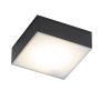 Antigo Tottori 8057 Повърхностно светило 1x10W/LED 3000K 1150lm IP44