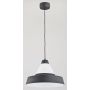 Alfa FANTOM 60265 Висяща лампа 1x15W/E27 IP20