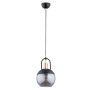 Alfa IRON 60856 Висяща лампа 1x60W/E27 IP20