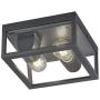 Trio GARONNE 601860242 Таванна лампа 2x10w/e27 ip44