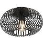 Trio JOHANN 606903032 Таванна лампа 1x60w/e27 ip20