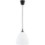 Alfa LERA 61466 Висяща лампа 1x15W/E27