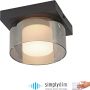 Paul Neuhaus RIKA 6162-18 Таванна лампа 1x6W/LED 3000k 680lm ip20