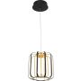 Aviano Lighting XARA 6210-0110 Висяща лампа 17w/led 3000k 3000K