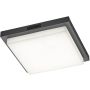 Trio BERMEJO 630369242 Таванна лампа 1x14w/led 2300+3000+4000k 1450lm ip54