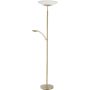 Paul Neuhaus ALFRED 655-60 Стойка лампа 2x35W/LED 3000k 3900lm ip20