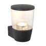 Endon CANILLO 67697 Светильник за стена 3.5W/GU10 5000K 345LM IP44