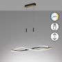 Fischer&Honsel Torcido 61018 Висяща лампа 1x27W/LED 2700K 3200 lm IP20