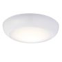 Endon FORCA 77892 Таванен светилник 12W/LED 4200K 1140LM IP65