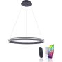 Paul Neuhaus Q-VITO 8412-13 Висяща лампа 1x65W/LED 2700-5000k 7000lm ip20