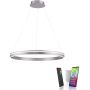 Paul Neuhaus Q-VITO 8412-55 Висяща лампа 1x65W/LED 2700-5000k 7000lm ip20