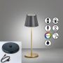 Fischer&Honsel Cosenza 850338 Масичка лампа 2x2W/LED RGBW 180lm IP44