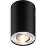 Zuma Line RONDOO 89201-N Повърхностно светило 1x50W/GU10 IP20