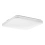 Eglo FRANIA-IP 902076 Таванен светилник 18W/LED 3000K, 4000K, 6000K 2100lm ip44