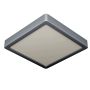 Eglo FUEVA 5 900591 Таванен светилник 1x17W/LED 3000K 2000LM IP20