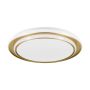 Eglo MOSCHETTA 902045 Таванен светилник 36W/LED 2700K, 4000K, 6500K 4800lm ip20