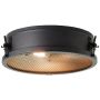 Brilliant ZOIS HK19237S76 Таванен светилник 2x28W/E27 IP20