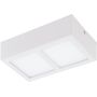 Eglo COLEGIO 95201 Таванен светилник 2x4,2W/LED 1100LM