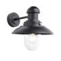 Endon HEREFORD 95982 Светильник за стена 1x10W/E27 IP44