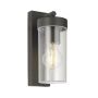 Endon HAYDEN 98439 Светильник за стена 15W/E27 IP44