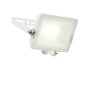 Endon SALDE 98444 Халогенен фар 20W 4000K IP65
