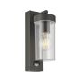 Endon HAYDEN PIR 99756 Светильник за стена 15W/E27 IP44