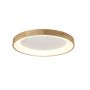 AZzardo SILVAM AZ2698 Таванен светилник 1x50W/LED 3250LM
