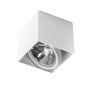 AZzardo ALEX2V AZ1359 Повърхностно светило 1x50W/QR111 IP20