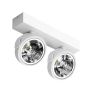AZzardo JERRY AZ1369 Спот 2x50W/QR111 IP20
