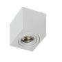 AZzardo MINI ELOY AZ1713 Повърхностно светило 1x50W/GU10 IP20