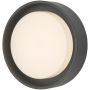 Dar Lighting RALPH RAL5239 Светильник за стена 1x9W/LED 3000K 626LM IP65