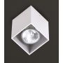 Maxlight PET SQUARE C0082 Повърхностно светило 1x50w/gu10 ip20