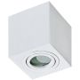 AZzardo BRANT AZ2822 Повърхностно светило 1x50W/GU10 IP44