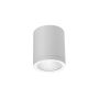 Azzardo CONYON AZ6028 Повърхностно светило 1x15W/LED 3000|4000|6000 900lm IP54