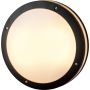 AZzardo FANO AZ4371 Таванен светилник 2x18W/E27 IP54