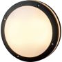AZzardo FANO R 30 SMART LED RGB AZ4783 Таванен светилник 24W/LED 2600K-6000K 1720LM IP54