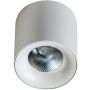 AZzardo MANE AZ4152 Повърхностно светило 1x20W/LED 3000K IP20
