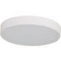 Azzardo PANDINO AZ6587 Таванен светилник 1x18w/led 2800k/4000k/6000k ip44