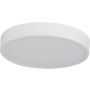 Azzardo PANDINO AZ6589 Таванен светилник 1x24w/led 2800k/4000k/6000k ip44