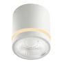 Azzardo VICI AZ6040 Повърхностно светило 1x12W/LED 3000|4000|6000 720lm IP44