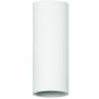 Zambelis CEILING SPOT 23220 Повърхностно светило 1x5W/GU10 IP20