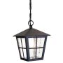 Elstead Lighting CANTERBURY BL48M-BLACK Висяща лампа 1x60W/E27 IP43