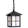 Elstead Lighting WINCHESTER BL18B-BLACK Висяща лампа 1x60W/E27 IP43