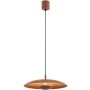 Argon BOLTON 8870 Висяща лампа 1x12.5W/LED 3000K 2170lm ip20