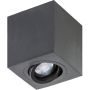 AZzardo BRANT AZ2825 Повърхностно светило 1x50W/GU10 IP20