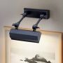 Elstead Lighting CHAWTON CHAWTON-PLS-BLK Светлина за картини 1x40W/E14