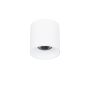 Italux ALTISMA CLN-6677-95-WH-3K Повърхностно светило 1x15W/LED 3000k 1650LM IP20